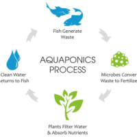 Fisheries and Aqua-Sciences