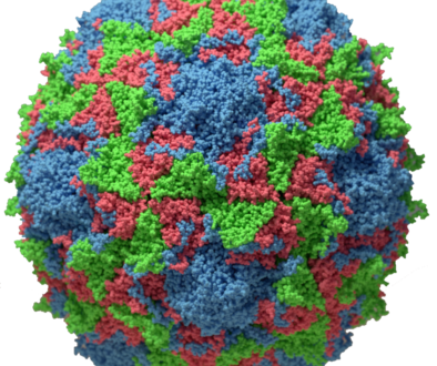 kisspng-poliovirus-capsid-poliomyelitis-viral-replication-bill-gate-5b164171567bb9.2464265615281852013542